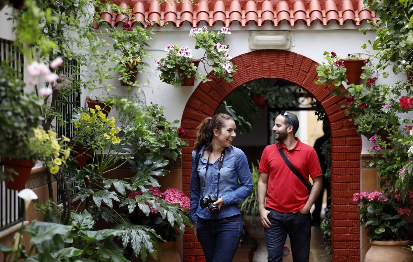 Patios de Córdoba 2019 | San Pedro y Santiago, donde la vida cotidiana late detrás de las plantas